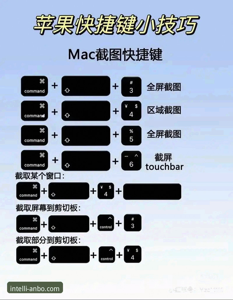 安博电脑版安装与使用完全教程：从下载到高效操作指南